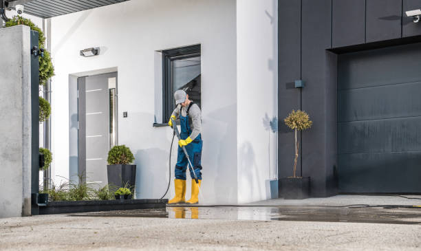 Best House Exterior Washing  in Platte, SD